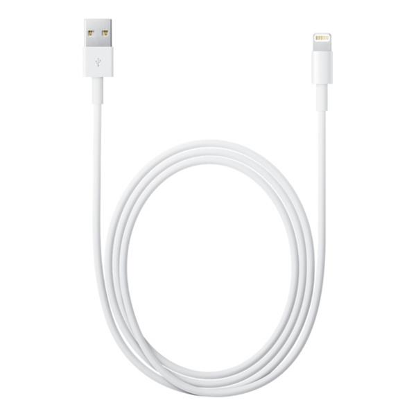 APPLE CAVO DA LIGHTNING A USB-A 2MT