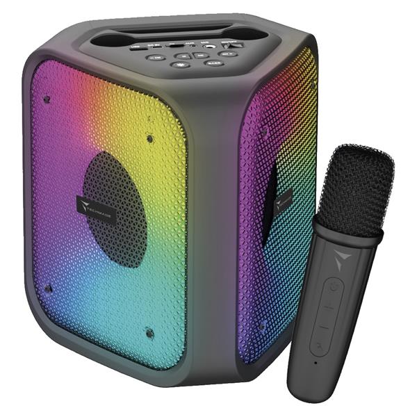 TECHMADE KARAOKE SPEAKER 12W+3W CON MICROFONO
