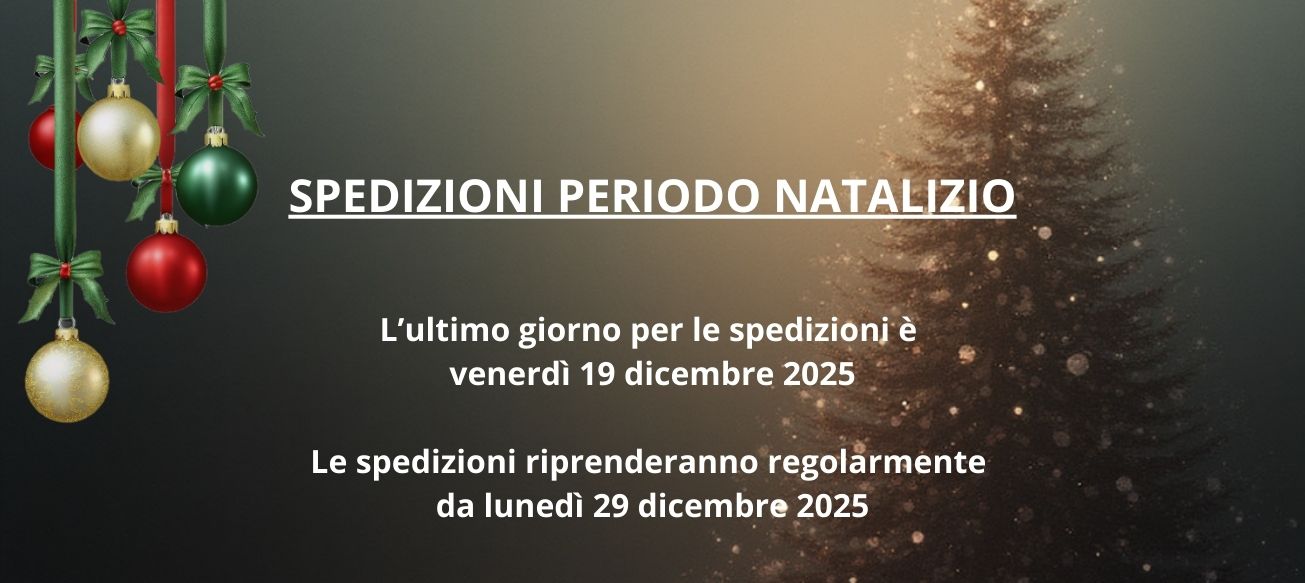 spedizioni-natale
